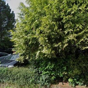 Woning aan de Schoener te Kropswolde