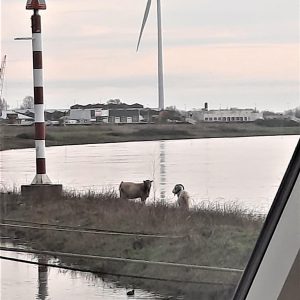 Woning aan de Westervoortsedijk te Arnhem