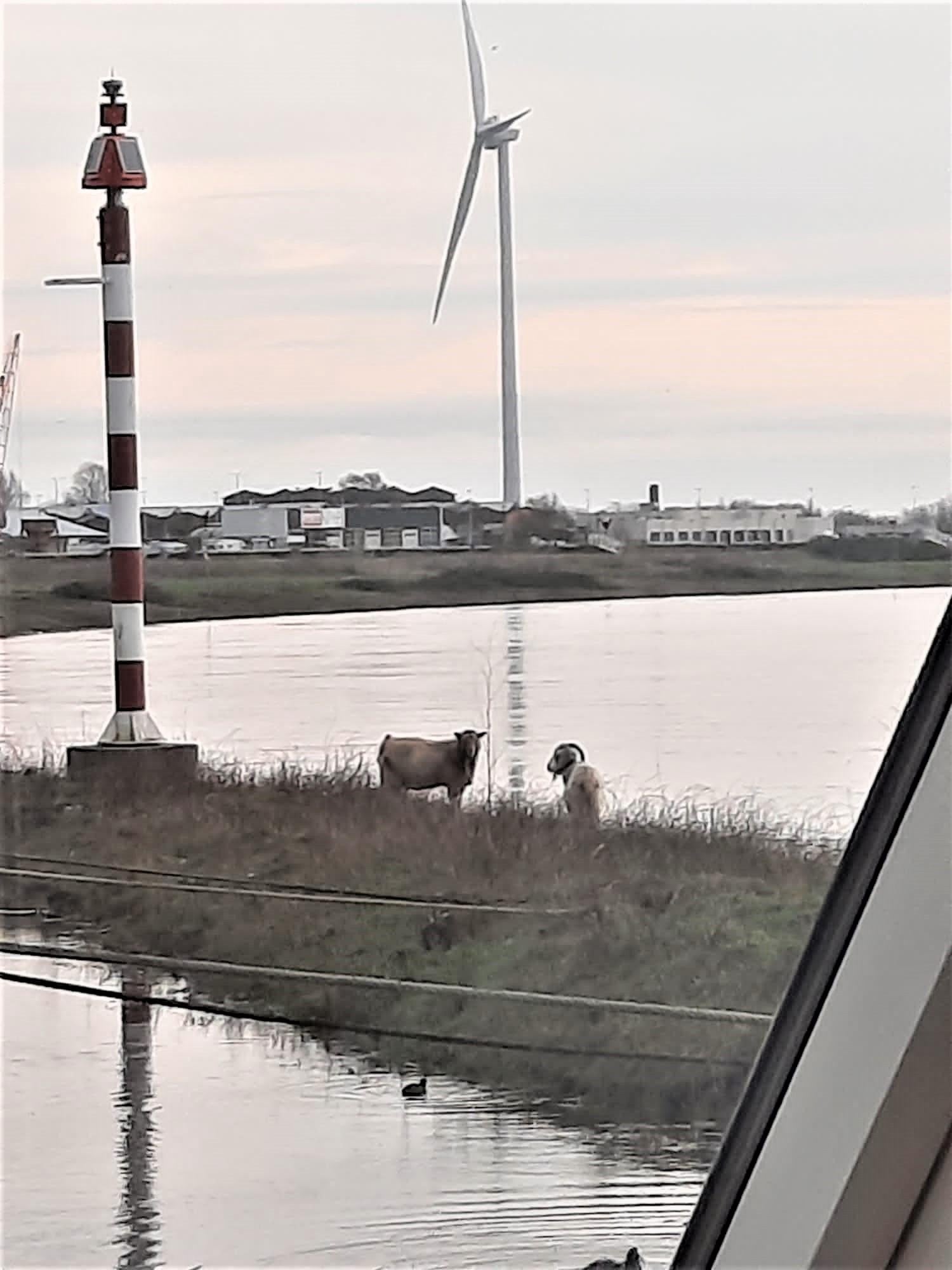 Woning aan de Westervoortsedijk te Arnhem