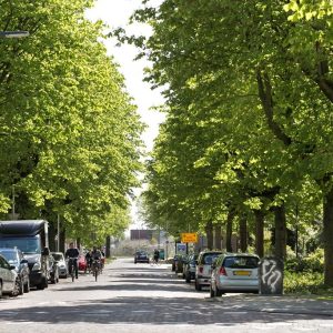 Woning aan de Van Oldenbarneveldtstraat te Arnhem