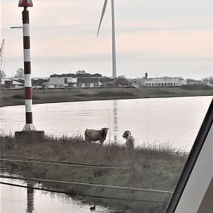 Woning aan de Westervoortsedijk te Arnhem