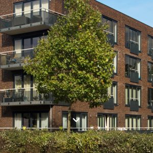 Woning aan de Pisanostraat te Eindhoven